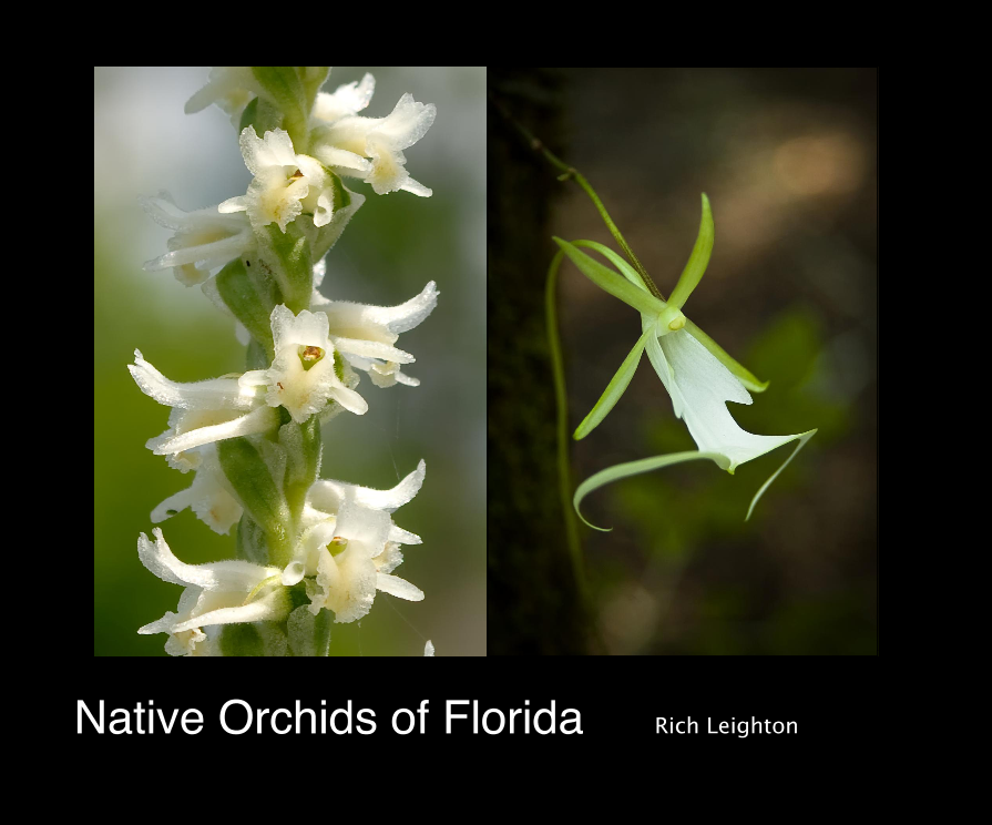 Our First Book! “Native Orchids of Florida” is Now Available!